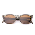 OTIS CHORUS Eco Crystal Fern / Brown