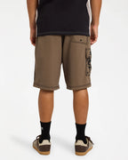 BILLABONG Throw On 22” BOARDSHORTS