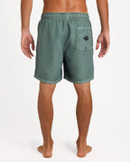 BILLABONG All Day Overdyed Layback 17" Boardshorts