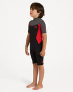 Billabong Boys 2/2 Toddler Absoulte Spring