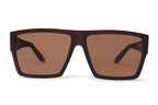 LIIVE X AMP - Polarised Beer Brown