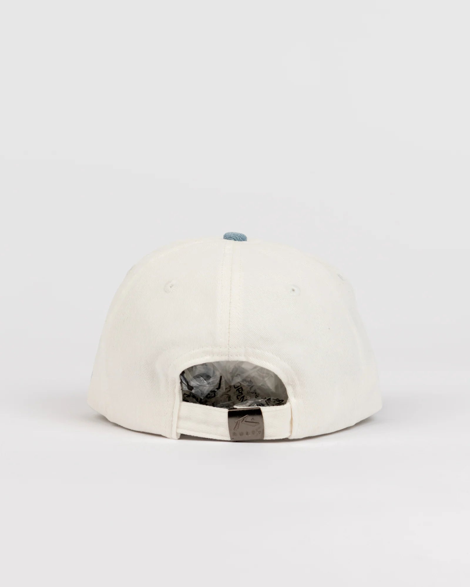 RUSTY Artic Two-Tone Dad Cap