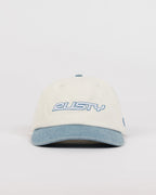 RUSTY Artic Two-Tone Dad Cap