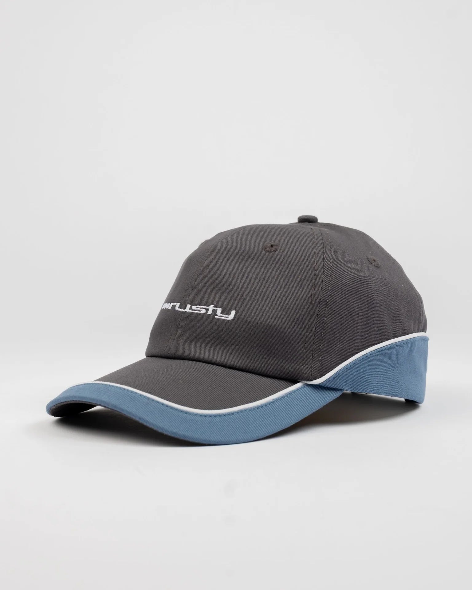 RUSTY Double Dip Panel Dad Cap