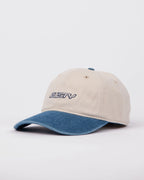 RUSTY Flip Logo Dad Cap