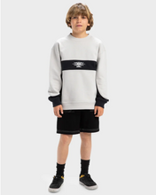 Load image into Gallery viewer, QUIKSILVER Boys 8-16 Mercury Devil Pullover Sweatshirt
