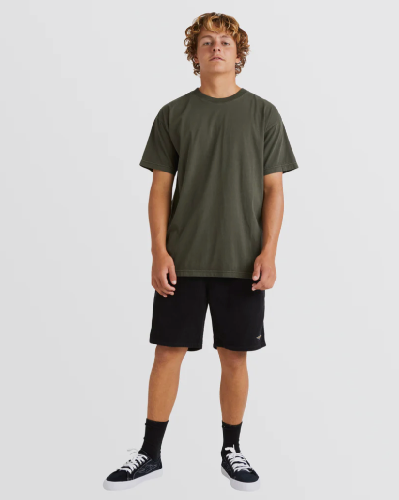 BILLABONG Mens Premium Wave Wash T-Shirtj