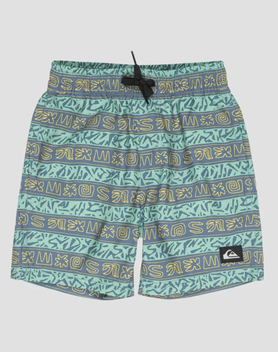 QUIKSILVER Boys 8-16 Everyday Volley 13" Swim Shorts