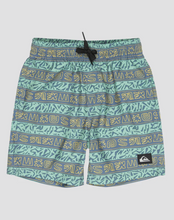 Load image into Gallery viewer, QUIKSILVER Boys 8-16 Everyday Volley 13&quot; Swim Shorts
