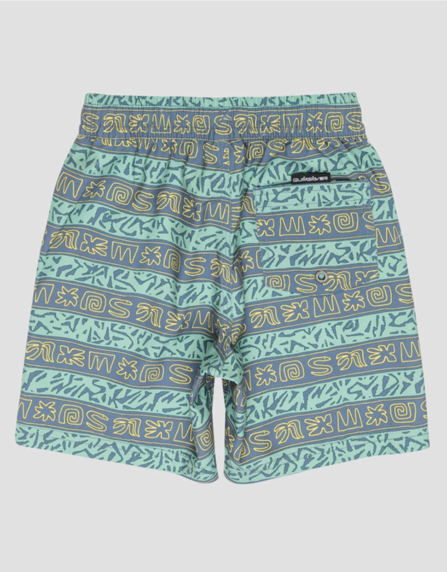 QUIKSILVER Boys 8-16 Everyday Volley 13" Swim Shorts