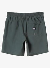 Load image into Gallery viewer, QUIKSILVER Mens Taxer 18&quot; Amphibian Board Shorts
