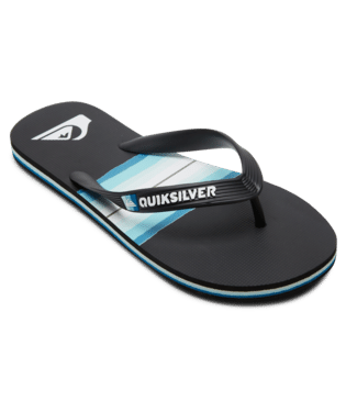 Quiksilver MOLOKAI ART SP KD