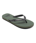 Quiksilver MOLOKAI