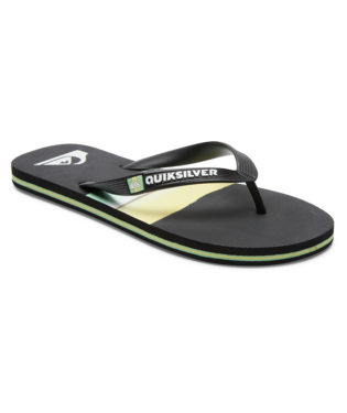 Quiksilver MOLOKAI RESIN TINT