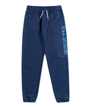 Load image into Gallery viewer, Quiksilver TRACKPANT SCREEN YOUTH
