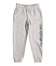 Load image into Gallery viewer, Quiksilver TRACKPANT SCREEN BOY
