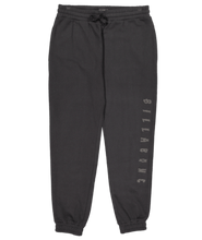 Load image into Gallery viewer, Billabong TEAM ELASTIC BEACH PANT
