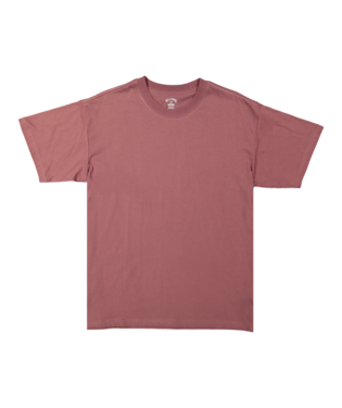 Billabong PREMIUM WAVE WASH SS